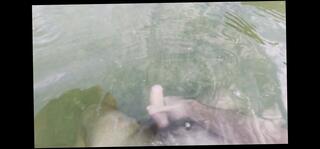 Video 1605137931: solo masturbation uncut, solo gay uncut, solo masturbation pov, pov solo cumshot, solo jerk cum, solo amateur jerking, hot solo amateur cumshot, solo outdoor cum, white solo masturbation, solo public masturbation, european solo masturbation, solo masturbation hd, public beach pov, serbian pov, jerking time