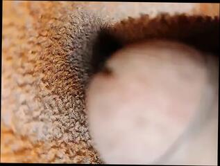 Video 1657631601: boy oil massage, oil massage fuck, twink doctor fucks, doctor massage gay, oil cock massage, oil massage sex, oil massage masturbation, oil massage teen, desi indian oil massage, deep oil massage, twink old grandpa, japanese oil massage, daddy fucks twink gay, grandpa fuck young boy, twink fucks white boy, twink boy jerking, doctor gay fuck men, deep throat twink sex, dads fuck twink, gay man fucking twink, gay twink homemade, twink boy step son, fucking fat grandpa, twink boys european, twink fucks older man, family doctor fucking, grandpas public sex, massive twink cock, grandpa bathroom, korean massage, jewish boy, father step son fuck, boys funny