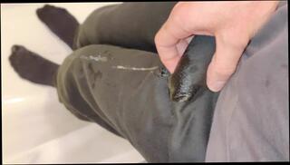 Video 1567484853: pee desperation pissing, pissing peeing wetting, solo male piss, solo gay amateur, pissing pants, pissing clothed