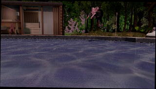 Video 1159535265: femdom bdsm, shemale furry