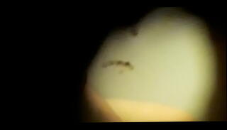 Video 697497925: gay public masturbation