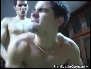 Video 239904701: bareback gay ass fucking, bareback gay latinos fucking, ass fucked hard bareback, bareback fucking porn, bed caught, caught naughty, men caught, latin ass fucked hard, table fuck