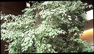 Video 159048801: bbw group sex, french bbw, straight sex