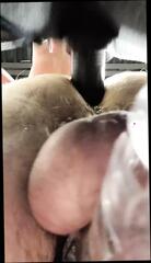 Video 1620977631: bbc dildo fuck machine, sissy femboy bbc, twink sissy femboy, dildo sex machine fuck, dildo anal fuck machine, sissy boy fucks bbc, anal dildo toy fetish, bbc fucks white sissy, dildo machine gay, amateur sissy bbc, twink boy straight gay, straight guy fucks sissy, machine fucking hot, takes fucking machine, fucking machines hd, gay twink american