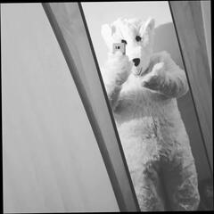 Video 353169701: sex toy gay, gay sex fat black, gay bear sex