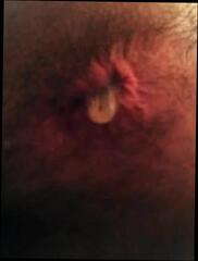 Video 275582501: creampie solo, bareback homemade porn, bareback homemade gay, gay bareback cum, bareback amateurs cums