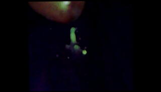 Video 559470875: boy solo cumshot, big cock solo cumshot, big cock solo cum, cum load solo, thick cock solo, penis solo