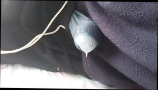 Video 1657304361: solo masturbation squirting orgasm, solo cum squirt, teen solo squirt, solo squirt amateur, huge squirt solo, solo male squirt, big squirt solo, solo masturbation moaning orgasm, solo boy masturbating cum, dick solo masturbating cumming, solo gay boy masturbates, solo cock masturbation cum, solo boy gay porn, amateur homemade solo masturbation, cock masturbation solo cumshot, orgasm squirting teen young, big dick solo jerk, white cock solo masturbation, solo man masturbation cumshot, solo hunk jerks, men solo boys, european solo masturbation, squirt sperm, solo masturbation hd, strong moaning orgasm, big dick guy cum