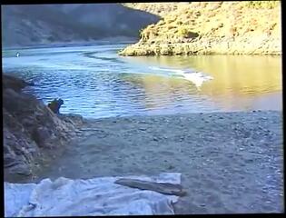 Video 1657042811: threesome vintage fuck, vintage retro big cock, vintage retro sex, vintage retro blowjobs, blonde vintage retro classic, hot vintage threesome, tits blowjob fucking threesome, retro babe fucked, threesome blowjob cumshot, hot threesome outdoor fuck, threesome fucking hard, straight threesome, hot threesome outside, retro beach, retro usa, english retro, hottest retro, fucking harder hot