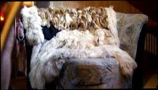 Video 1461686301: crossdresser slut, big cock crossdresser, crossdresser masturbation, amateur crossdresser, gay crossdresser, man crossdresser, faggot, housewife