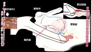 Video 1418234135: crossdresser tranny sissy, sissy crossdressing boy, sissy crossdresser shemale, pregnant shemale, transexual sissy, tranny shemale trans