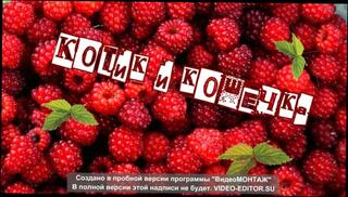 Video 1601983373: amateur teen sex hardcore, women hardcore sex, amateur teen rough sex, sex hardcore orgasm, hardcore female orgasm, russian teen hardcore, tattooed amateur teen