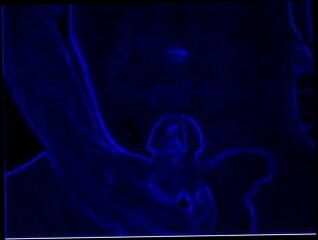 Video 15956101: girl masturbate cum, straight cum