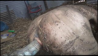 Video 1130767815: sex dildo toys solo, dildo solo boy, dirty dildo, dildo outdoors