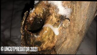 Video 1622894791: uncut cock big cumshot, gay porn uncut, uncut teen cock, amateur uncut cock, big uncut european, hd uncut, hole gay porn, hole masturbation, swiss porn, masturbating outside, masturbation time