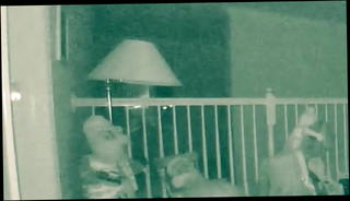 Video 809086701: natural mom, straight