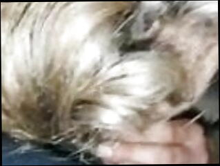 Video 1494877101: amateur gay cock sucking, blowjob sucking big cock, sucks strangers big cock, blowjob amateur belgian