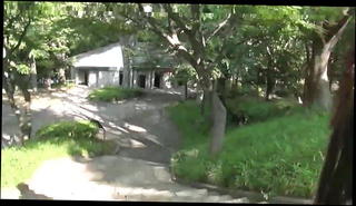 Video 891564401: asian shemale couple