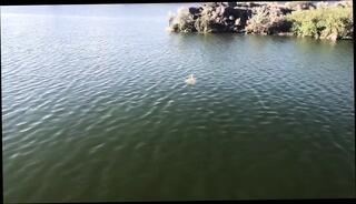 Video 1617733091: milf doggy style pov, milf pov ass fucked, amateur milf fucked pov, pov doggy style cumshot, blonde milf fucked doggy, big ass pov doggy, pov standing doggy style, milf tugging pov, doggy style pov hd, european milf pov, amateur couple fucking doggy, milf ass fucked outdoor, great doggy style fuck, american milf fucked, milf cuming, doggy style straight, milf warms, milf biggest, ass cheeks fuck, standing penis, penis inside, big penises