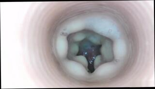 Video 815804004: fleshlight compilation, solo male cumshots gay, solo male toy, solo toy hd