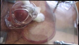 Video 1425366401: cbt bdsm, bdsm sex toys, bdsm gay sex, amateur bdsm sex, cock cage, cbt spanking, cage ball, gay bear bdsm, cbt cum, cbt masturbation, small cock gay sex, cock ball crush