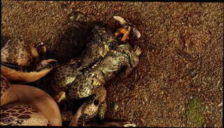 Video 1114025055: 3d animated gay, 3d anime game, skyrim 3d