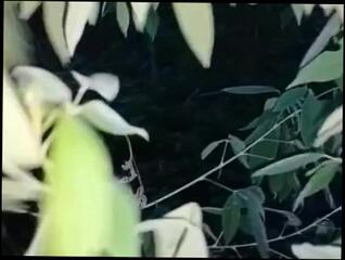 Video 1576009533: amateur girl solo masturbation, solo girl sex, solo masturbation blowjob, solo male sex