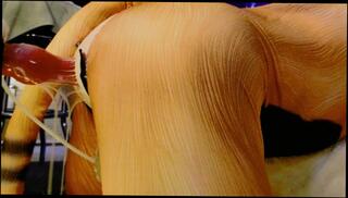 Video 1625428893: cumshots creampie squirting compilation, solo squirt compilation, squirting orgasm fuck machine, anal squirt fuck machine, solo sex fucking machine, amateur creampie cumshot compilation, gay solo cumshot compilation, fetish machine fuck, solo male cumshot compilation, ass creampie compilation, moaning squirting orgasm, squirt anal rough sex, anal squirting games, anime fuck