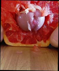 Video 1655120911: solo closeup cum, creampie closeup, dick closeup cum, dick cumshot closeup, gay cum solo, homemade cumshot creampie, homemade amateur closeup, cum close solo, german cum creampie, closeup hd