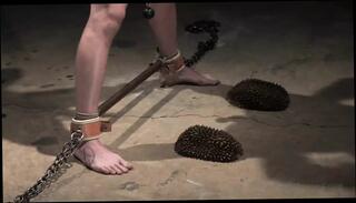 Video 1653176561: bdsm bondage humiliation, bondage domination bdsm, latex fetish bondage, twink bdsm dominated, hairy twinks bareback, dominate gay twinks, bound blindfolded, bondage clamps, gay bareback leather, hairy skin, mouth gag, flogging, latex hd, boy