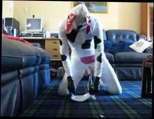 Video 183266101: milking gay, milking cow, man milk