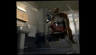 Video 575212035: furry gay animation, 3d animated gay, 3d solo