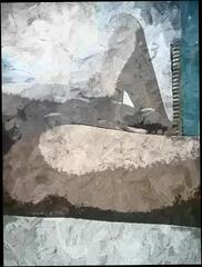 Video 259280801: indian gay big cock, big long cock