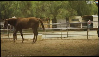 Video 1529462101: interracial bareback anal, interracial gay bareback, skinny bareback, blowjob bareback anal, skinny anal pain, gay bear bareback, bareback gays love, gay muscle bareback, skinny muscular, skinny american