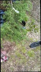 Video 356525301: interracial cock sucking, amateur interracial blowjob, interracial outdoor blowjob, interracial shemale, interracial lingerie, interracial hd, transsexual sucking