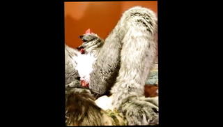 Video 1440974201: solo masturbation sex toys, solo amateur toys, cock solo masturbation, solo masturbation gay, monster cock solo, hot solo masturbation, solo australian