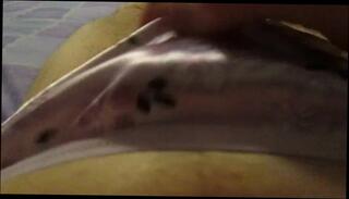 Video 244191001: cock rubbing cumming, cock cums hard, panty rub cock, gay panty, cumming good hard, man gay