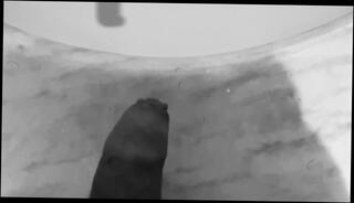 Video 1484092803: fetish gay piss, amateur piss fetish, fetish gay solo, pissing urinal, solo male piss, pissing hunk gay, pissing big gay dick, solo male cumshots gay, cumshots fetish handjob, black dick pissing, cock pissing, pig piss, nice piss, pissing white