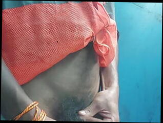 Video 1620935761: boys interracial bareback gay, bareback interracial gay sex, boy oil massage, massage big cock oil, big ass oil massage, oil massage cum, oil massage anal, hairy daddy bareback, oil massage teen, amateur oil massage, desi indian oil massage, oiled femboy, hot oil massage, black boys bareback sex, hairy man gay sex, bathroom bareback boy, teen femboy old man, barebacking african ass, interracial public sex, hd massage sex, uncle bareback, uniform bareback, ejaculation