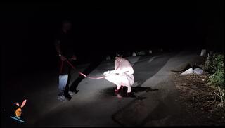 Video 1597110451: submissive piss slut, submissive slave slut, submissive slave anal, bondage submissive anal, bondage ass slave, toilet slave piss, rimming submissive, sucking ass licking rimming, rimming ass sucking cock, whore slut submissive, submissive slut throating, rimming anal toying, blowjob ass rimming, rimming straight ass, licking rim job, piss sperm, rimming ass outdoors, piss shower slut, hd ass slave, dog leash, high heels pissing, hottest rimming, sperm face, good whore