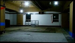 Video 123071805: pink lady