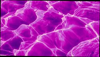 Video 1576452923: solo bisexual male, bisexual lesbian, bisexual gay straight orgasm, solo amateur trans, amateur lesbians hardcore, bisexual woman, man gay bisexual, solo female orgasm