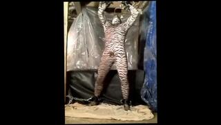 Video 71329003: fetish solo jerks, fetish gay solo, jerking hard cock solo, solo amateur jerking, solo male jerking, gay leather fetish, chained cock, huge cock solo, spandex fetish, horny jerking, cock struggles