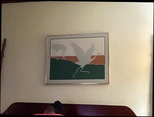 Video 1154145201: bbw wife fucks bbc, bbw riding bbc, bbw sister, girl sister fucking, sister rides cock, rides bbc big cock, sister cumshot, sister sex, straight bbc, sister hd