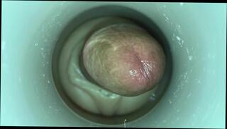 Video 351891001: amateur webcam cam, amateur gay cum, cum cam man, gay muscle cum, muscular cam, hd cam, hard cock