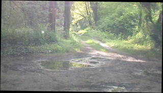 Video 913552001: mature shemale slut