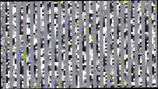 Watch the video about Sie will den latino schwanz in ihrem Arsch