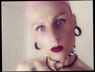 Video 1618158521: tattooed shemale, pleasuring masturbation, masturbating hard, bitch