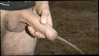 Video 1535813301: big cock pee, pee gay, public outdoor peeing, swedish cock