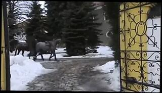 Video 239912201: claudia rossi, double penetration anal ass, double anal butt, big ass double penetration, nice double penetration, lingerie double penetration, stockings double penetrated, straight penetrated, very nice anal